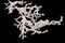 5' Iced Twig Garland – Artificial Frosted Holiday Décor, Christmas Garland for Home, Wreaths & Centerpieces, Set of 6